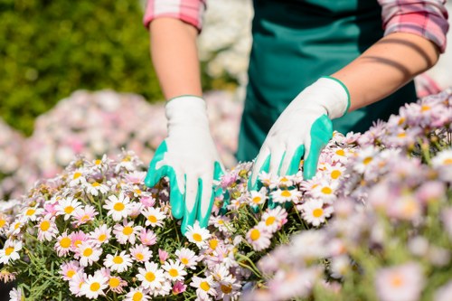 Handshake between gardener and client indicating escalation and agreement