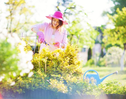 Gardener conducting follow-up checks on completed landscaping work
