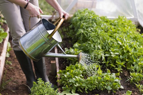 Garden clearance crew removing overgrowth in a tight London backyard
